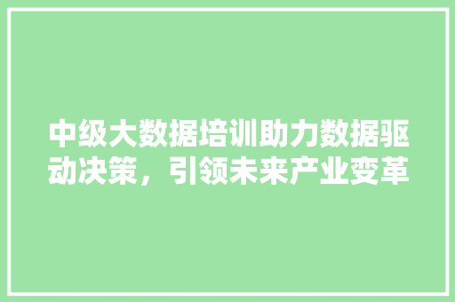 中级大数据培训助力数据驱动决策，引领未来产业变革