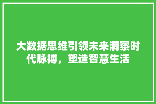 大数据思维引领未来洞察时代脉搏，塑造智慧生活