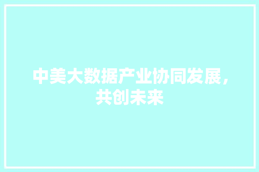 中美大数据产业协同发展，共创未来