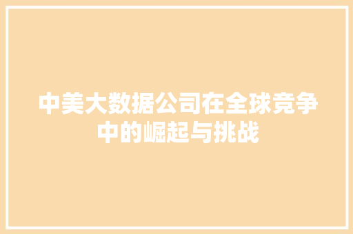 中美大数据公司在全球竞争中的崛起与挑战