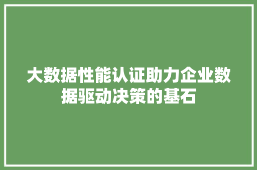大数据性能认证助力企业数据驱动决策的基石