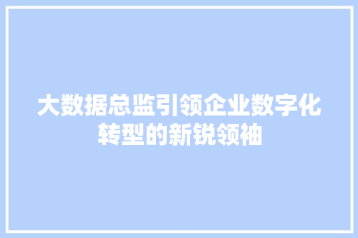 大数据总监引领企业数字化转型的新锐领袖