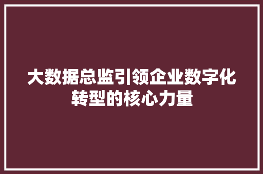 大数据总监引领企业数字化转型的核心力量