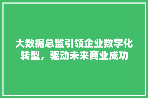 大数据总监引领企业数字化转型，驱动未来商业成功