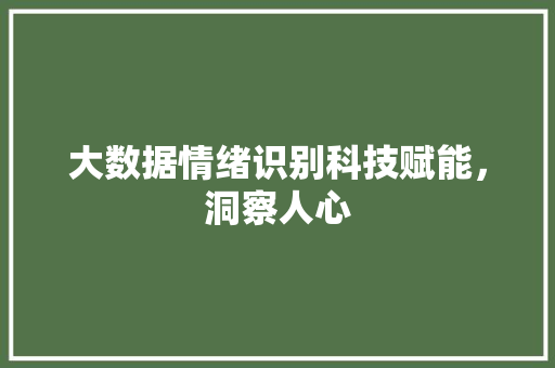 大数据情绪识别科技赋能，洞察人心