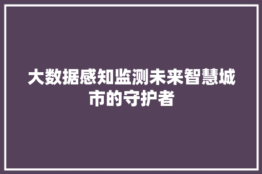 大数据感知监测未来智慧城市的守护者  第1张