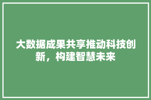 大数据成果共享推动科技创新，构建智慧未来