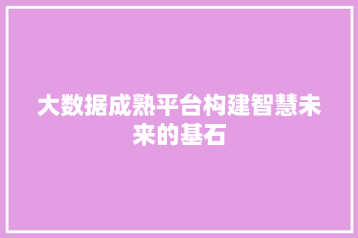 大数据成熟平台构建智慧未来的基石