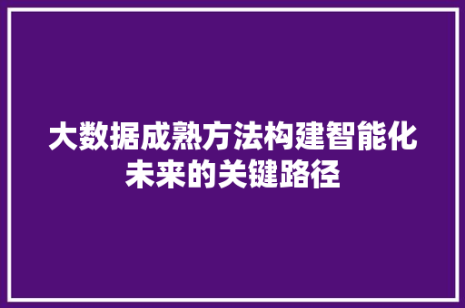 大数据成熟方法构建智能化未来的关键路径