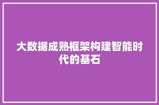 大数据成熟框架构建智能时代的基石
