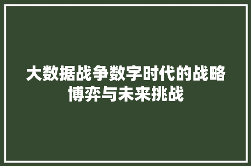 大数据战争数字时代的战略博弈与未来挑战  第1张