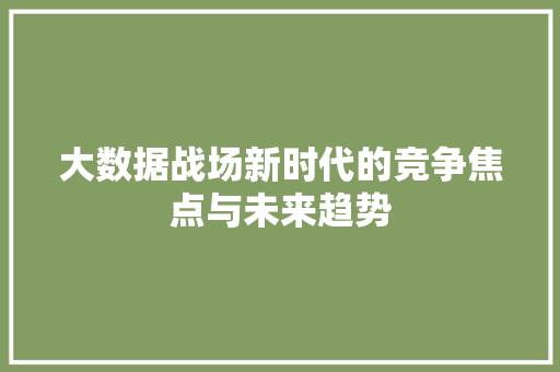 大数据战场新时代的竞争焦点与未来趋势  第1张