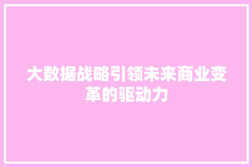 大数据战略引领未来商业变革的驱动力