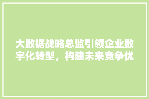 大数据战略总监引领企业数字化转型，构建未来竞争优势  第1张