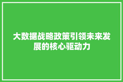 大数据战略政策引领未来发展的核心驱动力
