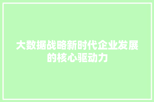 大数据战略新时代企业发展的核心驱动力