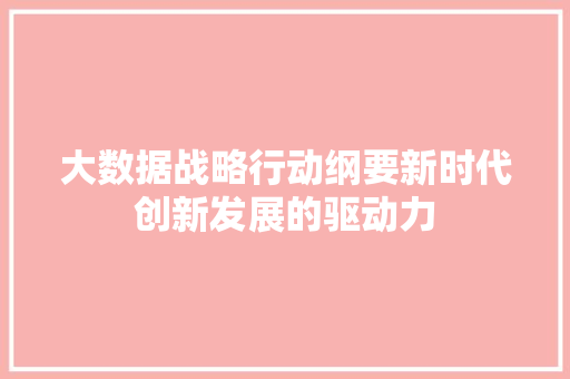 大数据战略行动纲要新时代创新发展的驱动力