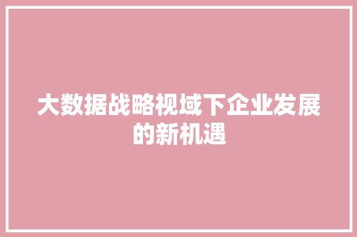 大数据战略视域下企业发展的新机遇