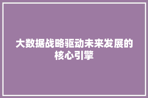 大数据战略驱动未来发展的核心引擎