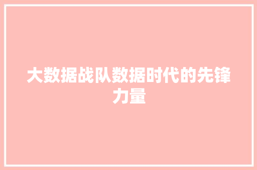 大数据战队数据时代的先锋力量
