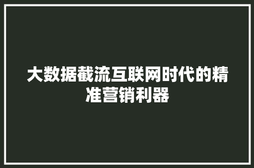大数据截流互联网时代的精准营销利器