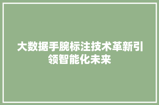 大数据手腕标注技术革新引领智能化未来  第1张