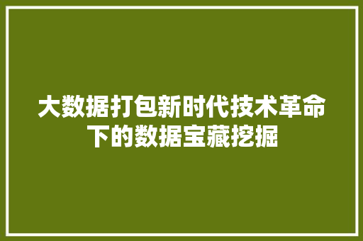 大数据打包新时代技术革命下的数据宝藏挖掘