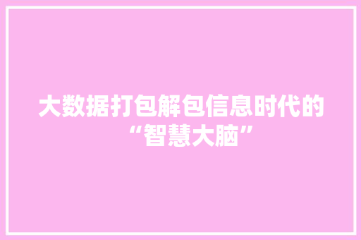 大数据打包解包信息时代的“智慧大脑”