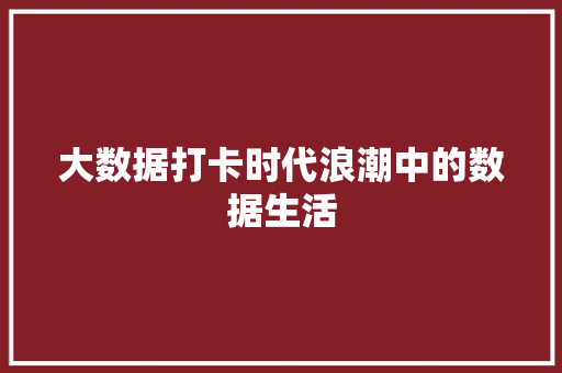 大数据打卡时代浪潮中的数据生活  第1张