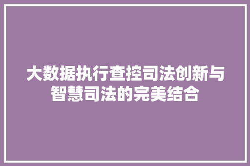 大数据执行查控司法创新与智慧司法的完美结合  第1张