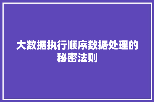 大数据执行顺序数据处理的秘密法则
