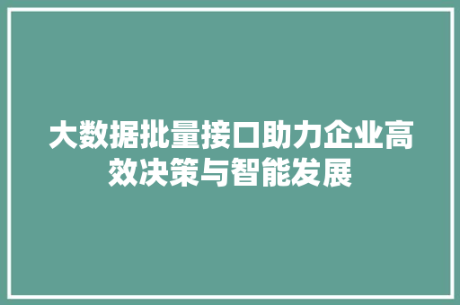 大数据批量接口助力企业高效决策与智能发展