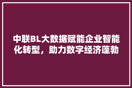 中联BL大数据赋能企业智能化转型，助力数字经济蓬勃发展