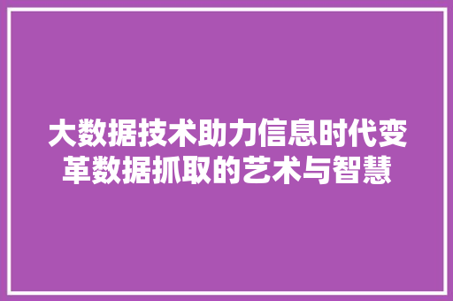 大数据技术助力信息时代变革数据抓取的艺术与智慧