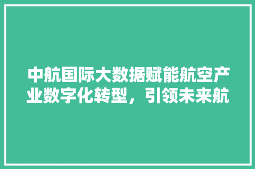 中航国际大数据赋能航空产业数字化转型，引领未来航程