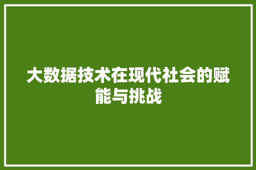 大数据技术在现代社会的赋能与挑战  第1张