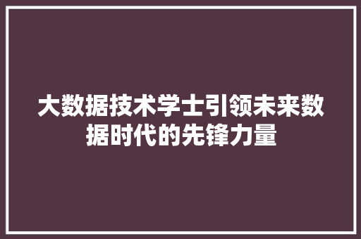 大数据技术学士引领未来数据时代的先锋力量