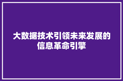 大数据技术引领未来发展的信息革命引擎