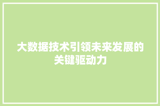 大数据技术引领未来发展的关键驱动力