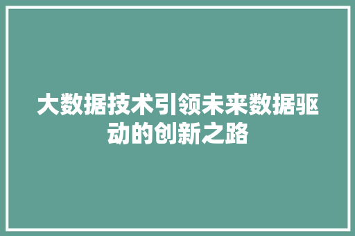 大数据技术引领未来数据驱动的创新之路