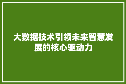大数据技术引领未来智慧发展的核心驱动力