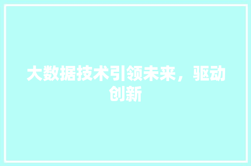 大数据技术引领未来，驱动创新