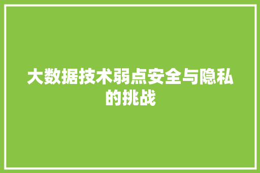 大数据技术弱点安全与隐私的挑战