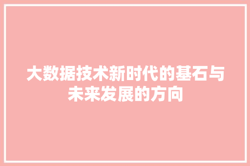 大数据技术新时代的基石与未来发展的方向