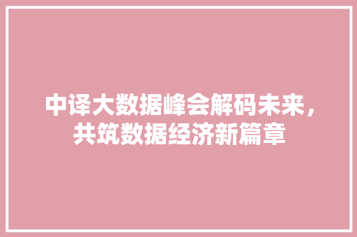 中译大数据峰会解码未来，共筑数据经济新篇章