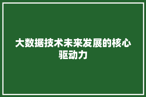 大数据技术未来发展的核心驱动力  第1张