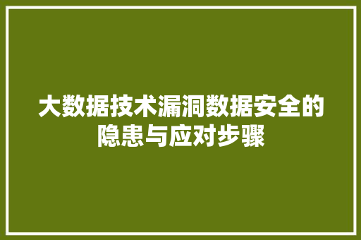 大数据技术漏洞数据安全的隐患与应对步骤