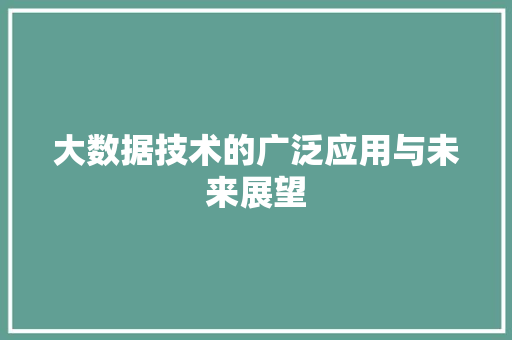 大数据技术的广泛应用与未来展望