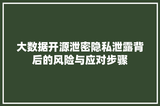 大数据开源泄密隐私泄露背后的风险与应对步骤  第1张