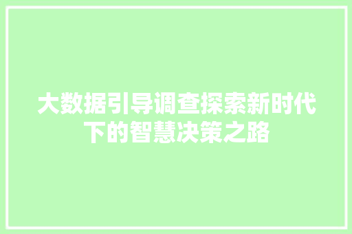 大数据引导调查探索新时代下的智慧决策之路